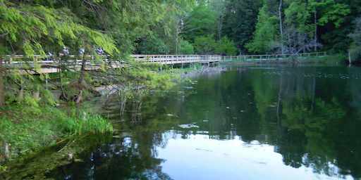 Huron Natural Area in Kitchener-Waterloo has a beautiful bridge to hike along.