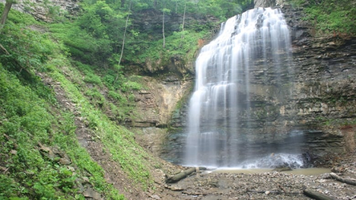 Tiffany Falls in Hamilton