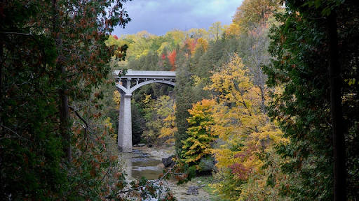 Elora Gorge Trails