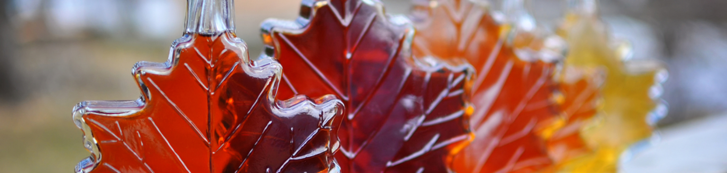 Best Maple Syrup Festivals in Ontario Logel's Auto Parts
